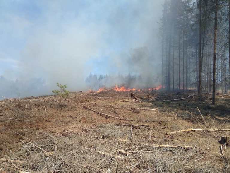 Požár lesní hrabanky – Stružná část obce Peklo